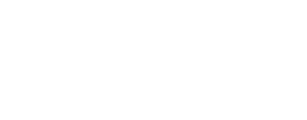 system